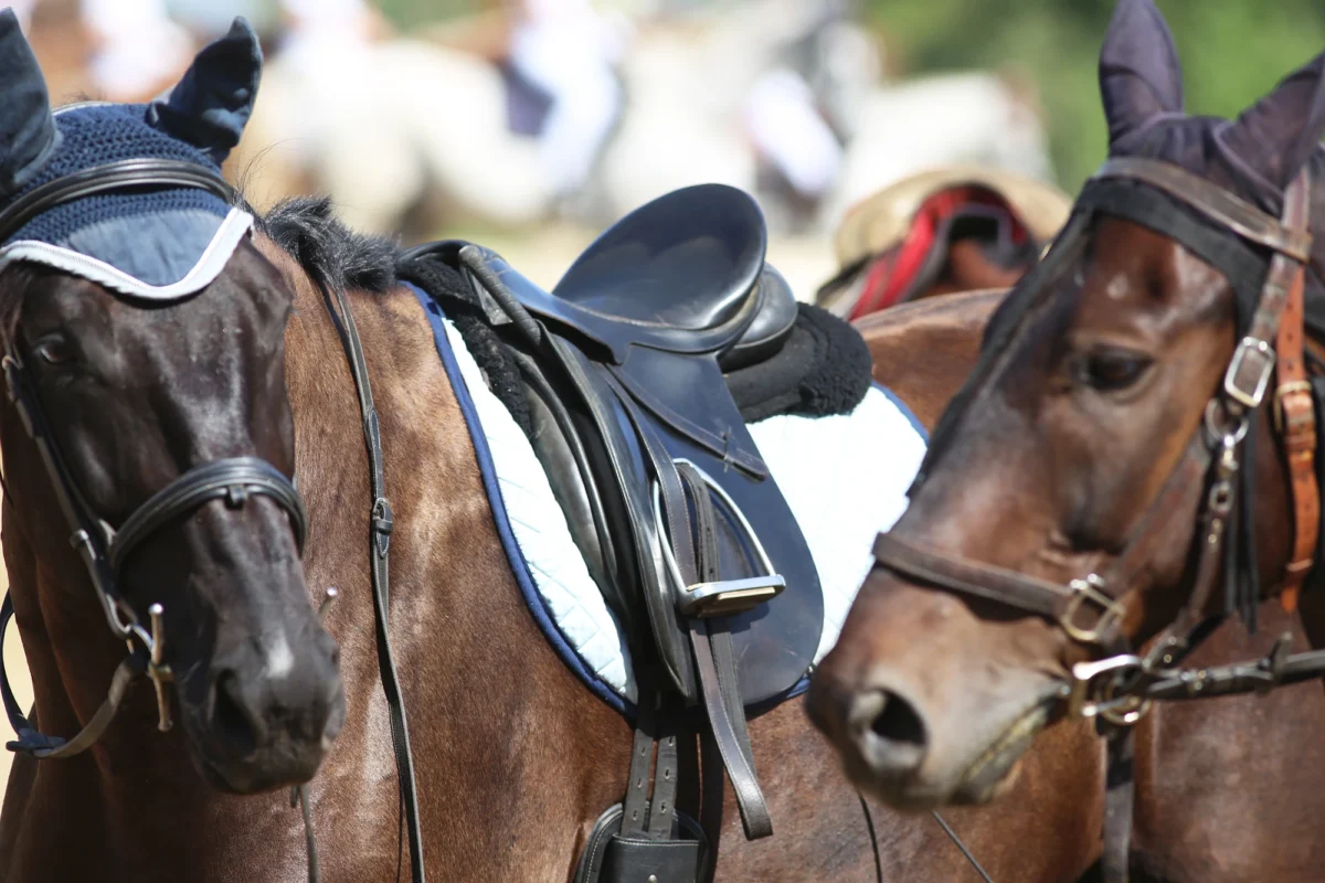 Barnard Castle School offers equestrian as an additional sport for pupils.