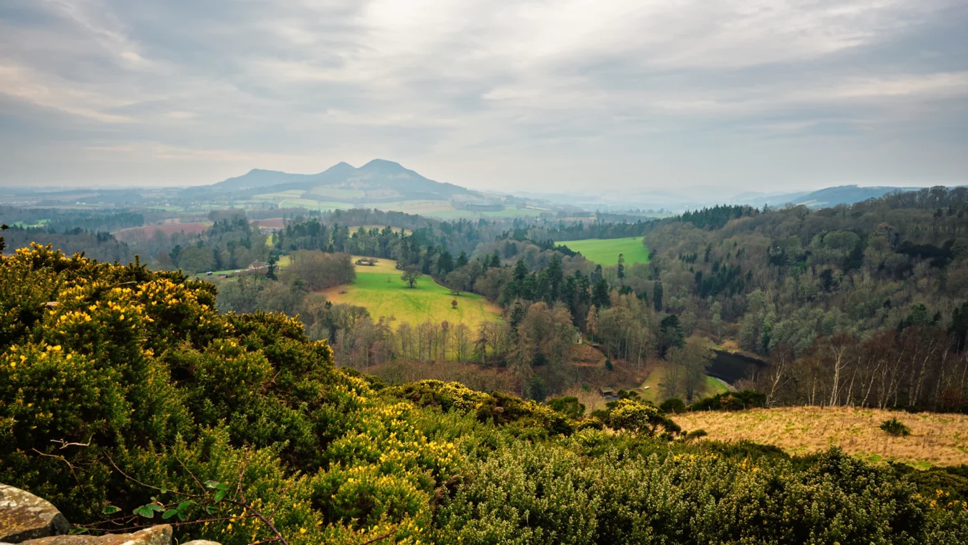 Northeast of England countryside.