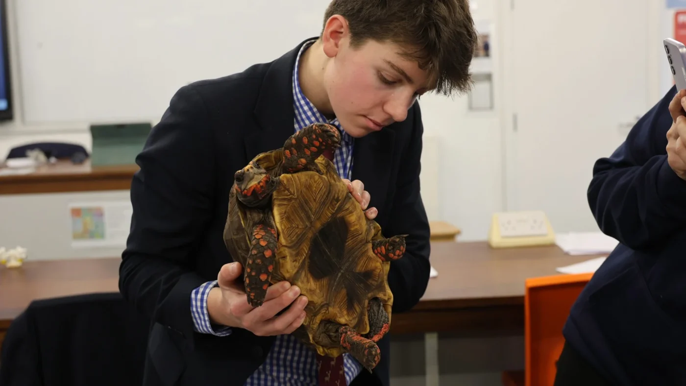 A Barney student holding a tortoise during a workshop.